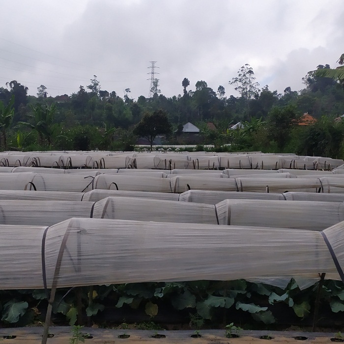 Jual Tanah di Nusa Lembongan