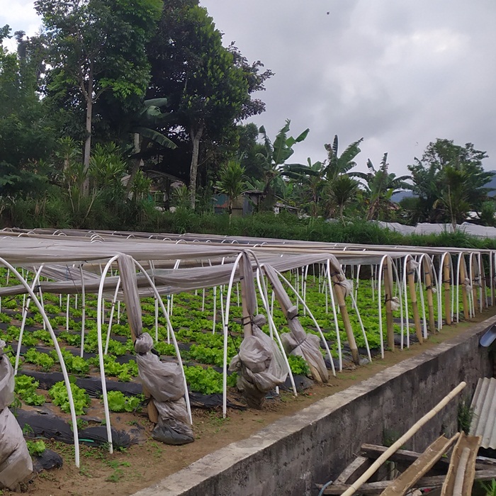 Jual Tanah di Nusa Lembongan