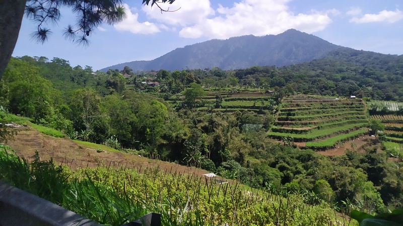 Sewa Tanah di Bali