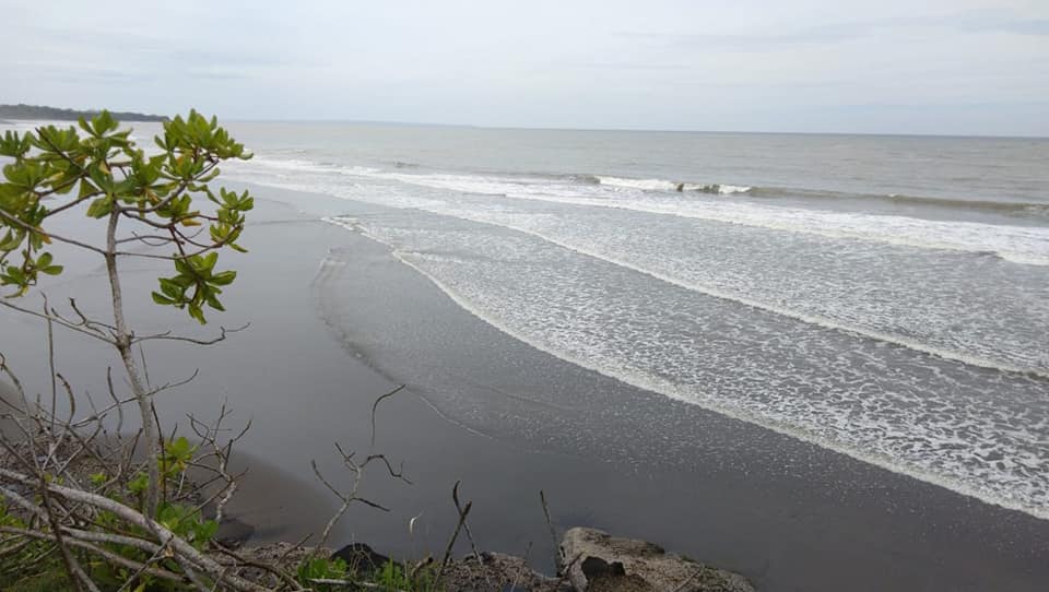 Tanah Los Pantai dijual di Tabanan