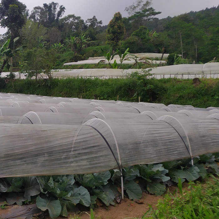 dijual tanah view kebun sayur di Ubud