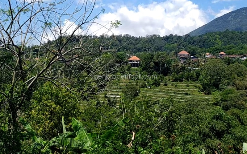 tanah dijual di Angseri Baturiti