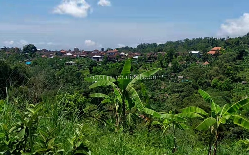 tanah dijual di Angseri Baturiti
