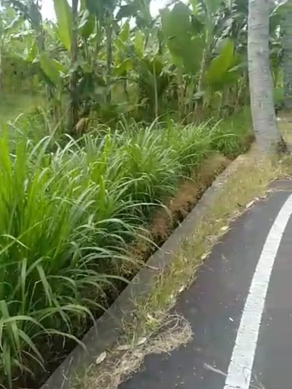 Jual Tanah di  Mengwi