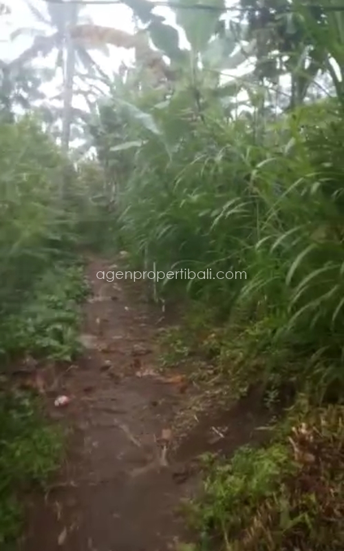 tanah dijual di Tegalalang Ubud